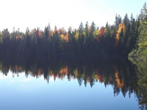 Moncton NB Conference Mill Creek Riverview fall foliage